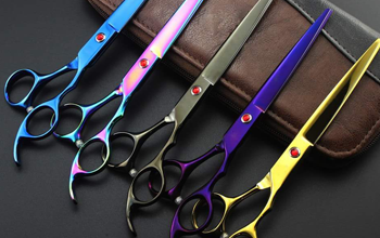   Beauty Instruments 
